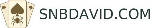 SNBDAVID.COM